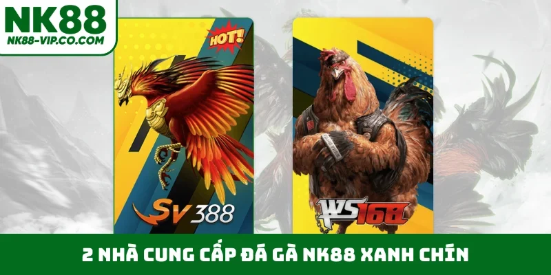 2 nhà cung cấp đá gà NK88 xanh chín