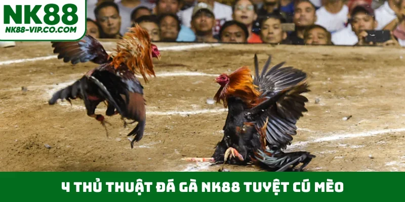 4 thủ thuật đá gà NK88 tuyệt cú mèo
