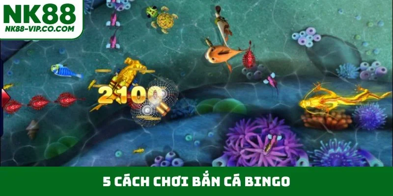 5 cách chơi bắn cá Bingo