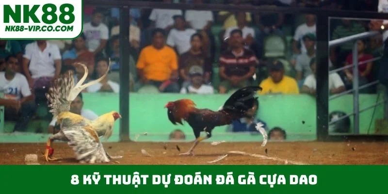 8 kỹ thuật dự đoán đá gà cựa dao