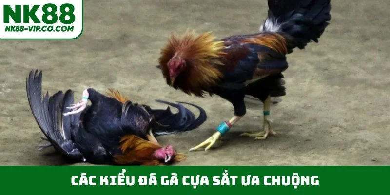 Các kiểu đá gà cựa sắt ưa chuộng