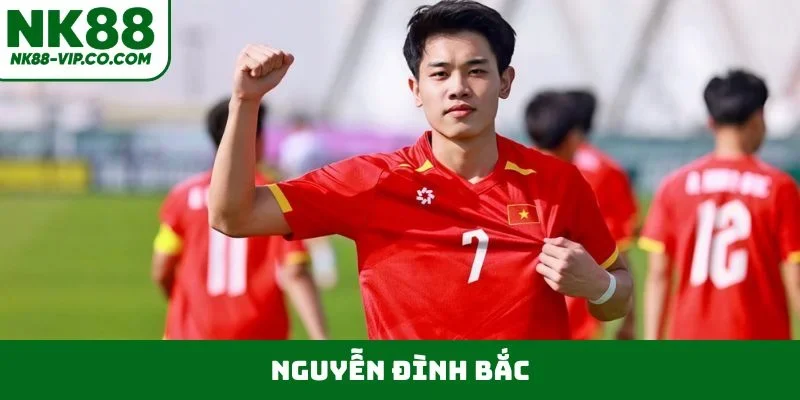 Nguyễn Đình Bắc