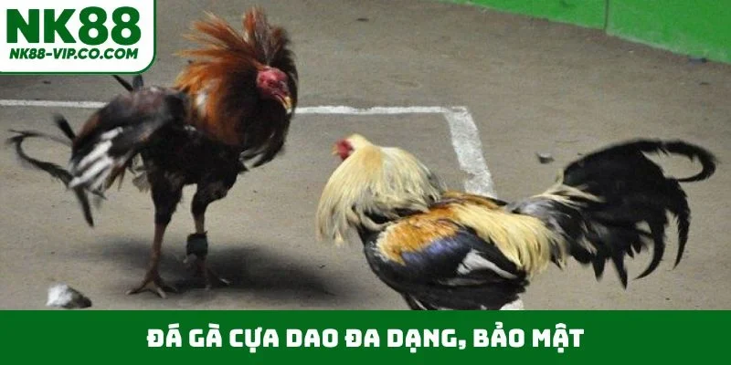 Đá gà cựa dao đa dạng, bảo mật