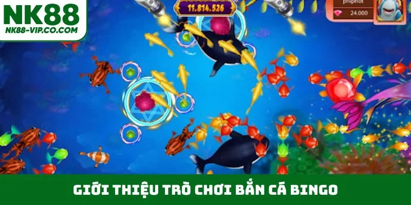 Giới thiệu trò chơi bắn cá Bingo