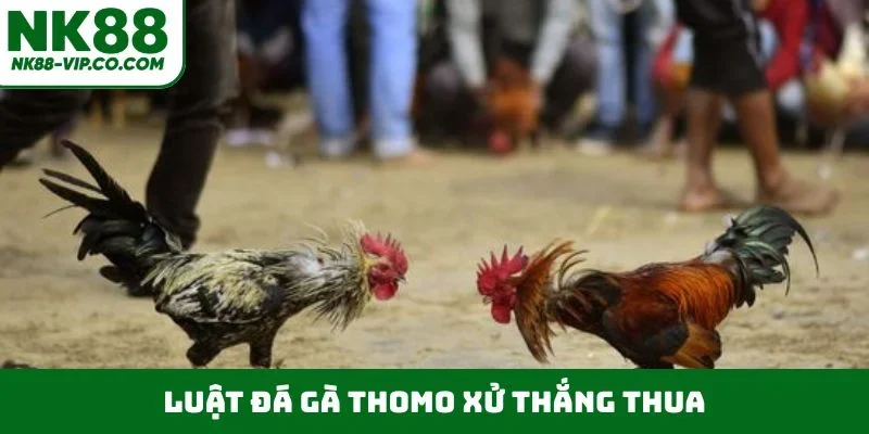Luật đá gà Thomo xử thắng thua