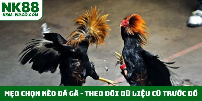 Mẹo chọn kèo đá gà - Theo dõi dữ liệu cũ trước đó
