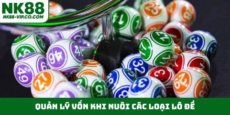 Quản lý vốn khi nuôi các loại lô đề